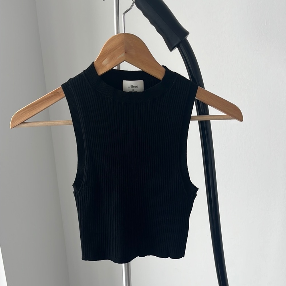 Aritzia Black Fitted Crop Tank Top